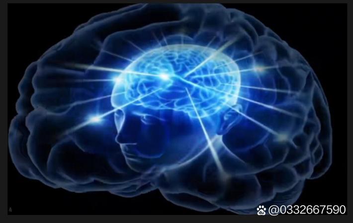 911吃瓜 - 网信办约谈多家自媒体平台，要求整治娱乐八卦乱象